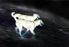 Space Dogs,host básník Tomáš Míka a Němý Mluvčí