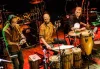 Ancient Groove