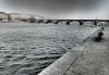 Zvíře v kabelce