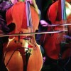 Vertigo 20. 2. 2012