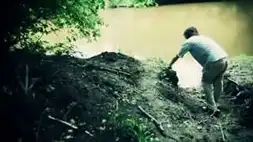 Rich Hopkins & The Luminarios (USA)